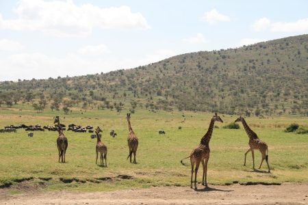 Classic East Africa