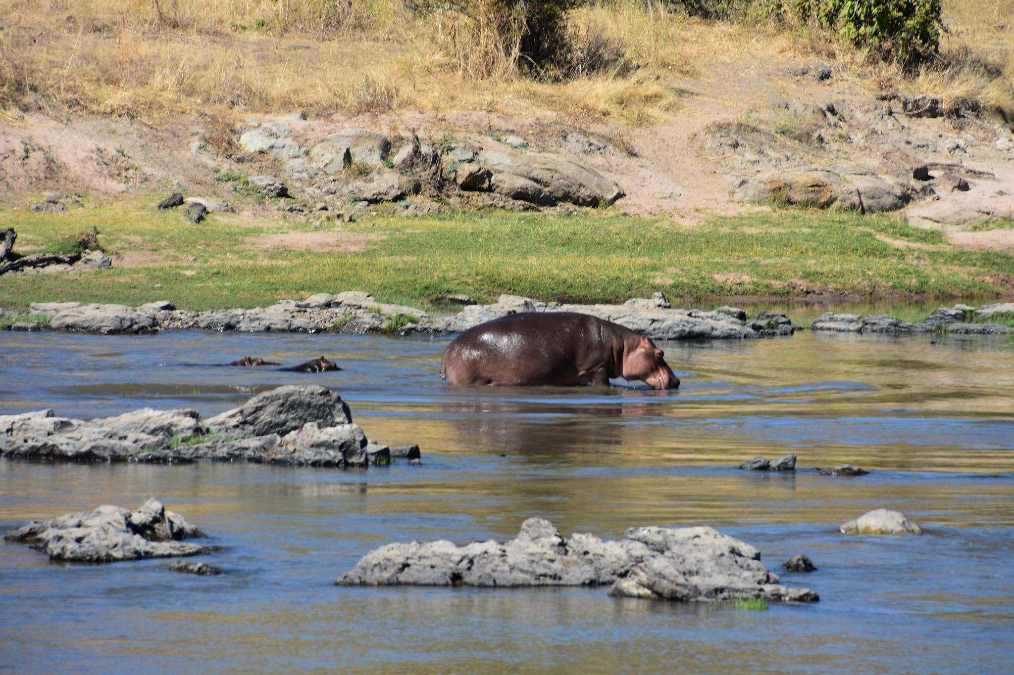 Ruaha National Park