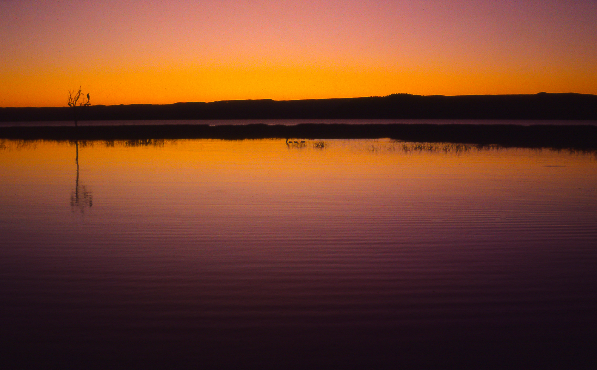 Lake Turkana