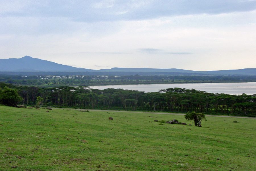 Kenya Classic