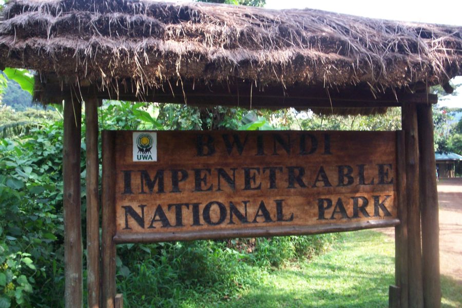 Bwindi Impenetrable National Park