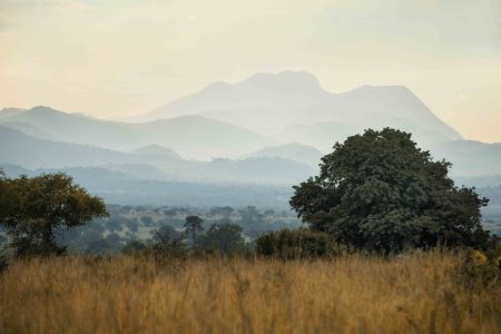 Best of Uganda National Parks with the Big Five