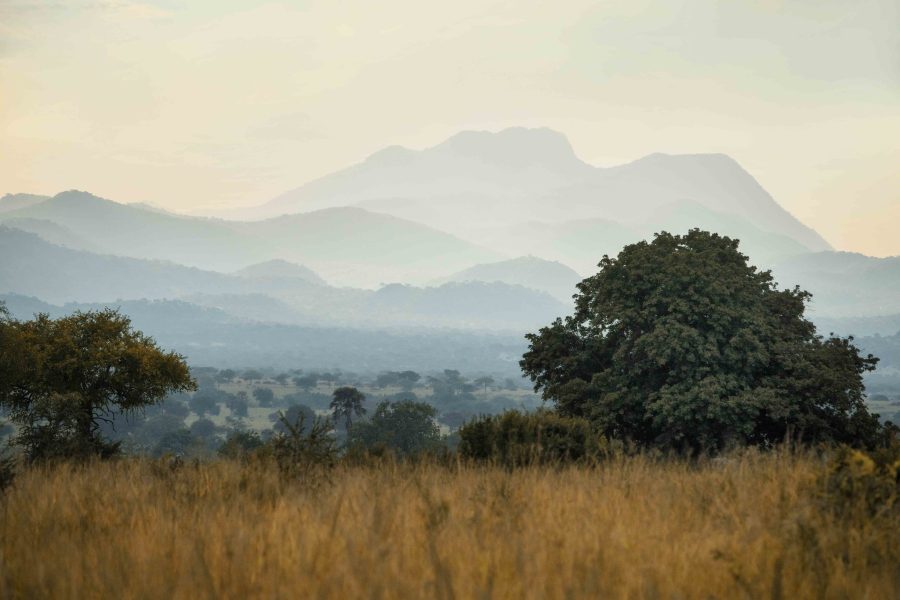 Best of Uganda National Parks with the Big Five
