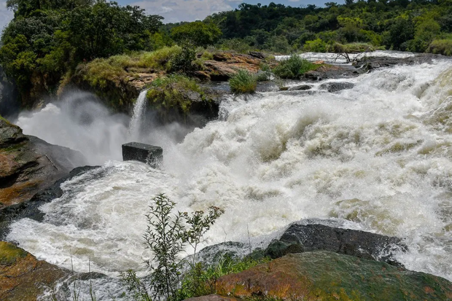 12 day 11nights Uganda without Gorilla